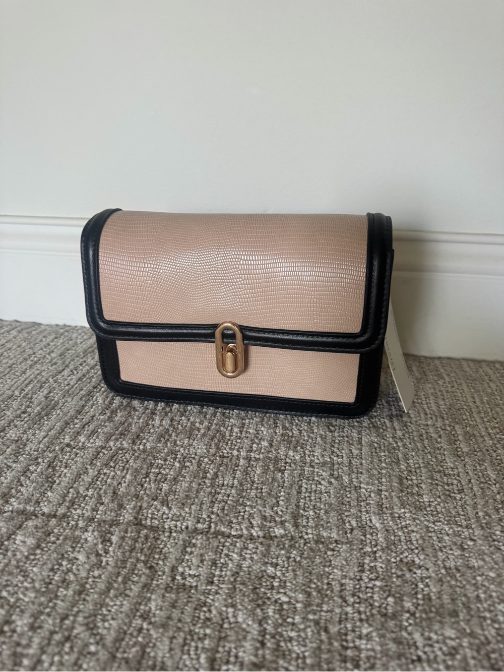 Chic Beige and Black Crossbody with Gold Closure